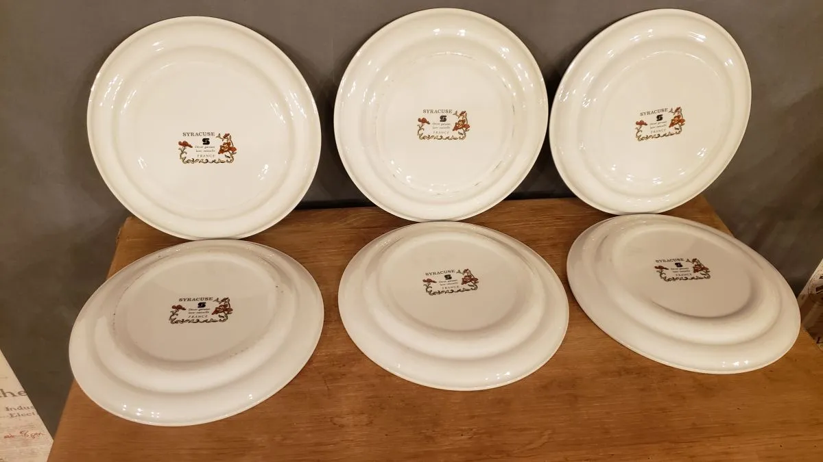 6 assiettes Plates Syracuse Sarreguemines Décor Fleurs