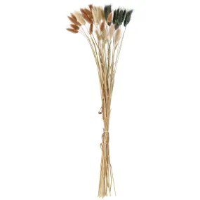 Bouquet de fleurs séchées Finjas 