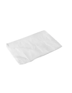 Bâche de protection peinture 4x5m (en display de 20 pieces( (gamme baches et sacs)