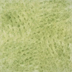 Francesco De Maio Spugnati Verde Marcio Punta Di Diamante 20x20 cm 