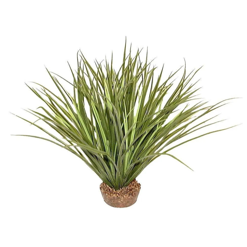 Plante artificielle pour aquarium : plastique Acorus vert