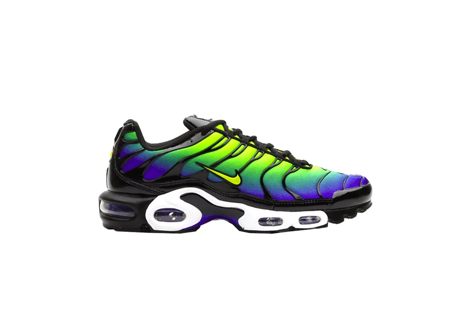 tn homme
